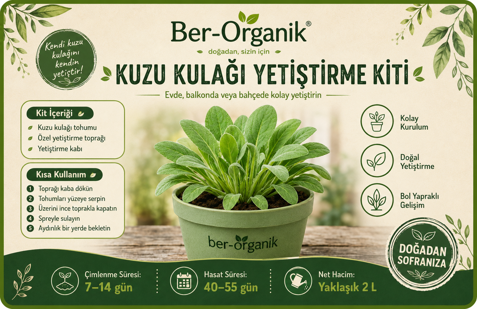 Kuzu Kulağı Yetiştirme Kiti